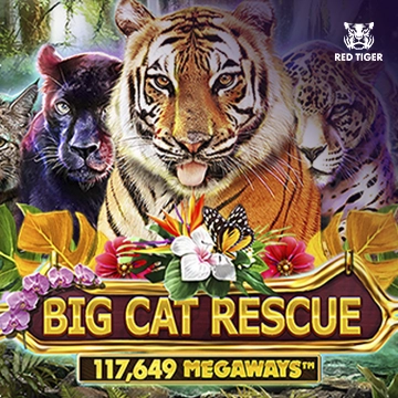 Big Cat Rescue Megaways - HASEAGAMING