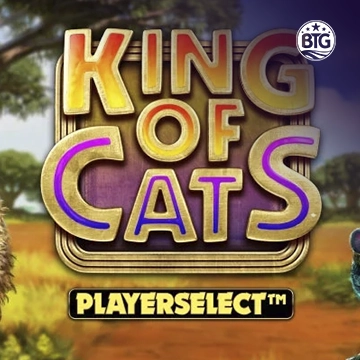 King of Cats - HASEAGAMING