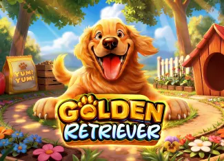 Pragmatic : Golden Retriever - HASEAGAMING